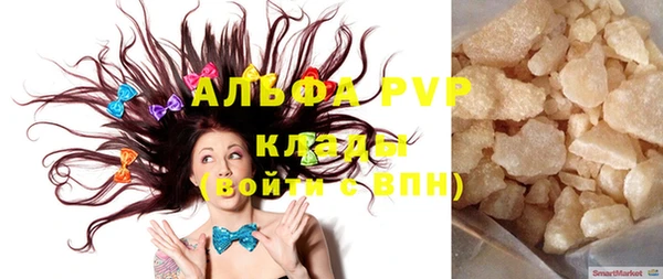 стаф Аркадак