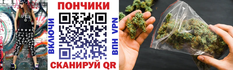 как найти   Снежногорск  Бошки Шишки SATIVA & INDICA 